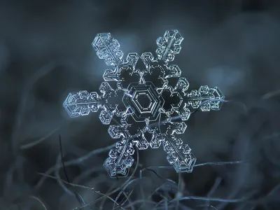 Снег под микроскопом - уникальные фото в хорошем качестве