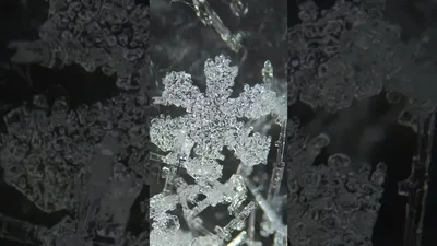 Снег под микроскопом - увидьте его кристаллическую структуру