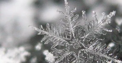 Снежный покров под микроскопом - погрузитесь в зимнее волшебство
