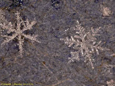 Изображения снега под микроскопом - великолепные обои