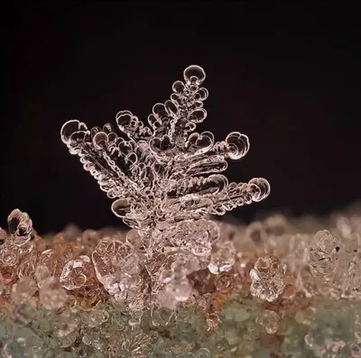 Структура снежных кристаллов под микроскопом - завораживающие детали