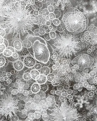 Снежные скульптуры под микроскопом - захватывающие детали