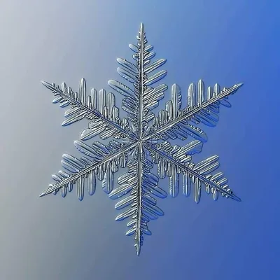 Фон снежного ландшафта - великолепная обстановка для экрана