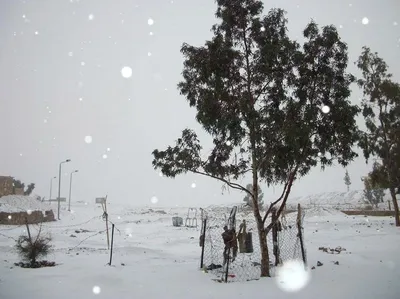 Редкое явление: Великолепные кадры снежного Египта 2013