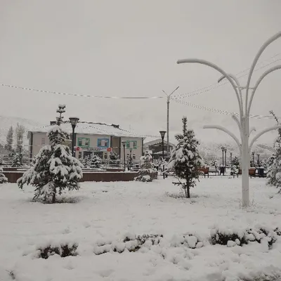 Романтические мгновения: фотографии влюбленных под снегом