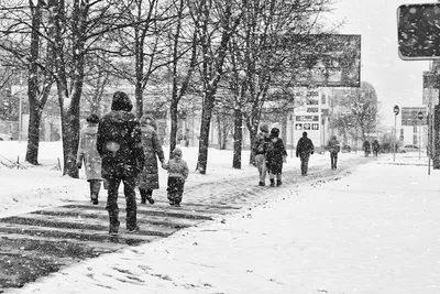 Увлекательное путешествие по снежному городу: фотообои