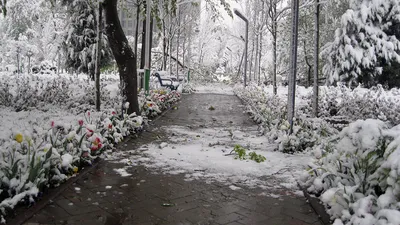 Зимний полет фантазии: фото снежных скульптур в городе