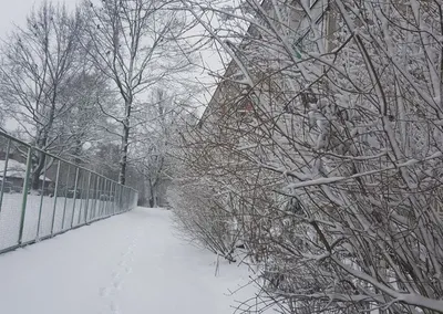 Волшебство снегопада: фотографии падающих снежинок в городе