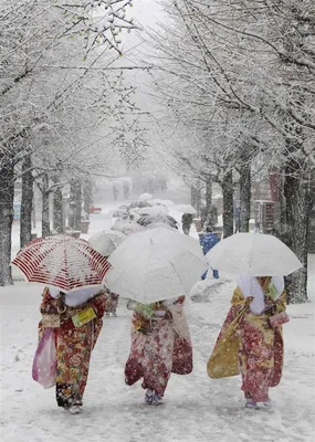 Снежная грация: фотографии снега в Японии