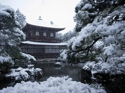 Сказочные фото зимы: снег в Японии