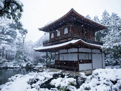 Поэзия белого: снег в Японии фотоизображений