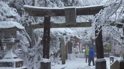 Замороченная зима: фотографии снежных пейзажей в Японии