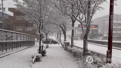 Снежная симфония: фото снега в Японии