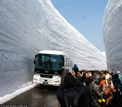 Замерзшая страна: снег в Японии фотографический