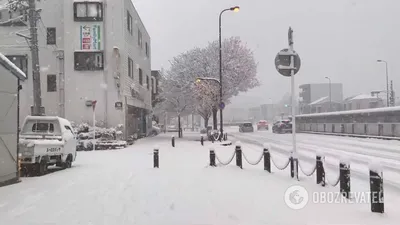 Необыкновенная зимняя прелесть: фото снега в Японии