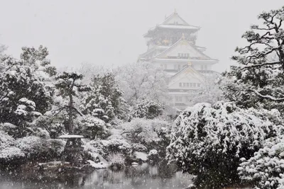 Величественное зимнее чудо: фотографии снега в Японии