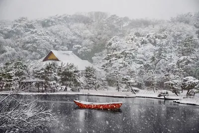 Замороженный мир: снег в Японии на фотографиях