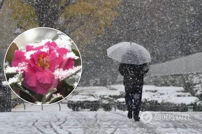 Мир снежных фантазий: снег в Японии на фотоснимках