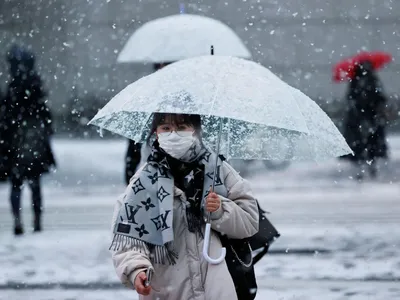 Чудесная зимняя феерия: снег в Японии на фото