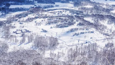 Шедевры снежных пейзажей: снег в Японии на фотографиях