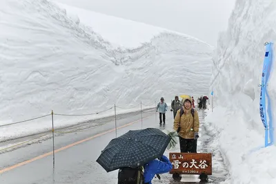 Марш к зимнему раю: фото снега в Японии