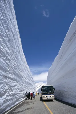 Впечатляющие виды снега в Японии
