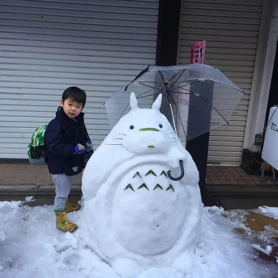Гипнотизирующая белизна: снежные виды в Японии на фотоснимках