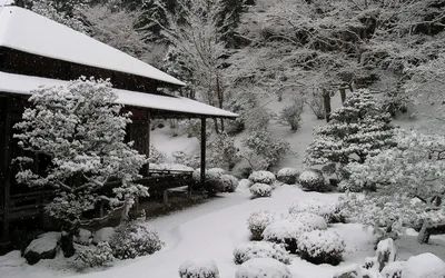 Уникальные пейзажи: фотографии снега в Японии