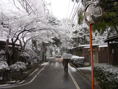 Пленительные снежные зарисовки: снег в Японии на фотографиях