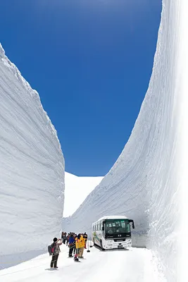 Волшебные снежные обои с японским колоритом
