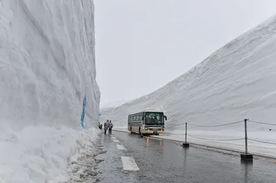 Осенние чудеса снега в Японии
