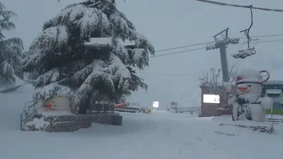 Впечатляющие пейзажи снега в Израиле: Изображения и обои в высоком качестве