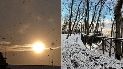 Снег в киеве фотографии