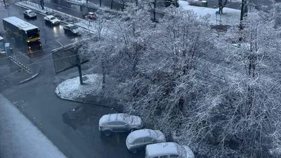 Совершенство зимнего ландшафта: отличные фотоальбомы снега в Киеве