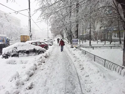 Узоры снега в Киеве: захватывающие детали