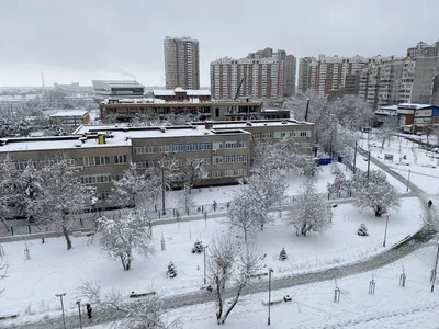 Изящные снежинки: фото Краснодар