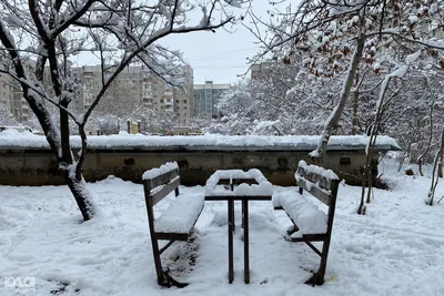 Волшебные моменты снега в Краснодаре: фото