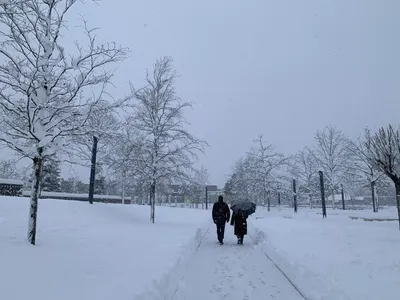 Романтическая атмосфера Краснодара в снегопад: фото