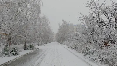 Краснодар в зимнем одеянии: фотографии снежного города