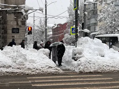 Прекрасный снежный день в Краснодаре: фото картинки