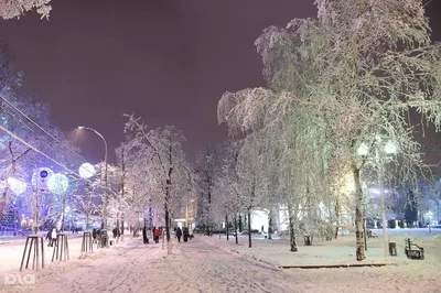 Очарование зимнего Краснодара: фотографии снега