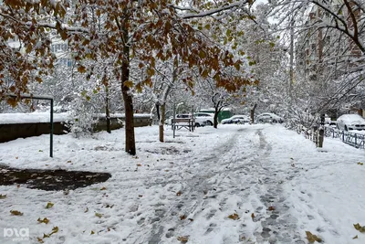 Снежные горы Краснодара: фото в хорошем качестве