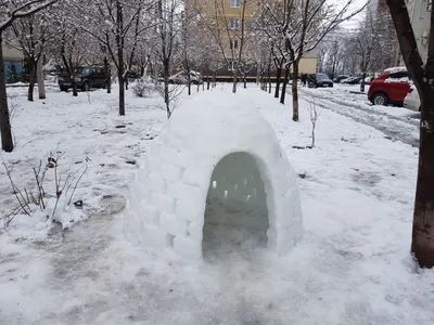 Зимний рай Краснодара: фото в снегопад