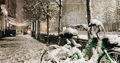 Изящество снежных дорожек в Краснодаре: фото