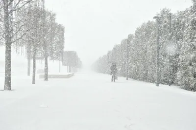 Снежная сказка в Краснодаре: фотообои