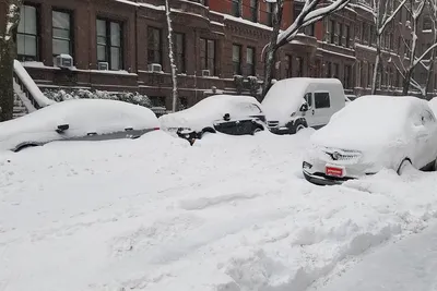 Снегопад в Нью-Йорке глазами читателей ForumDaily. ФОТО. ВИДЕО - ForumDaily