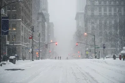 Вашингтон и Нью-Йорк завалило снегом - KP.RU