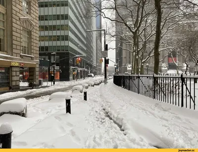 В Нью-Йорке выпал первый снег