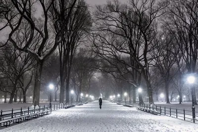Снежная атмосфера Нью Йорка в твоем альбоме