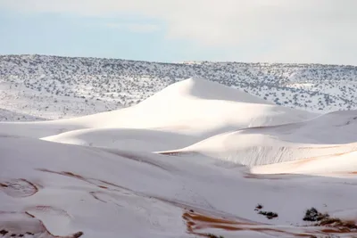 Зимняя фотопрогулка: фото Снега в сахаре